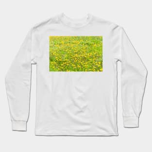 Dandelions Long Sleeve T-Shirt